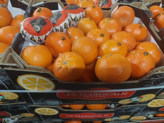Stacked cartons of mandarins with wrapped fruit in a Moroccan packhouse