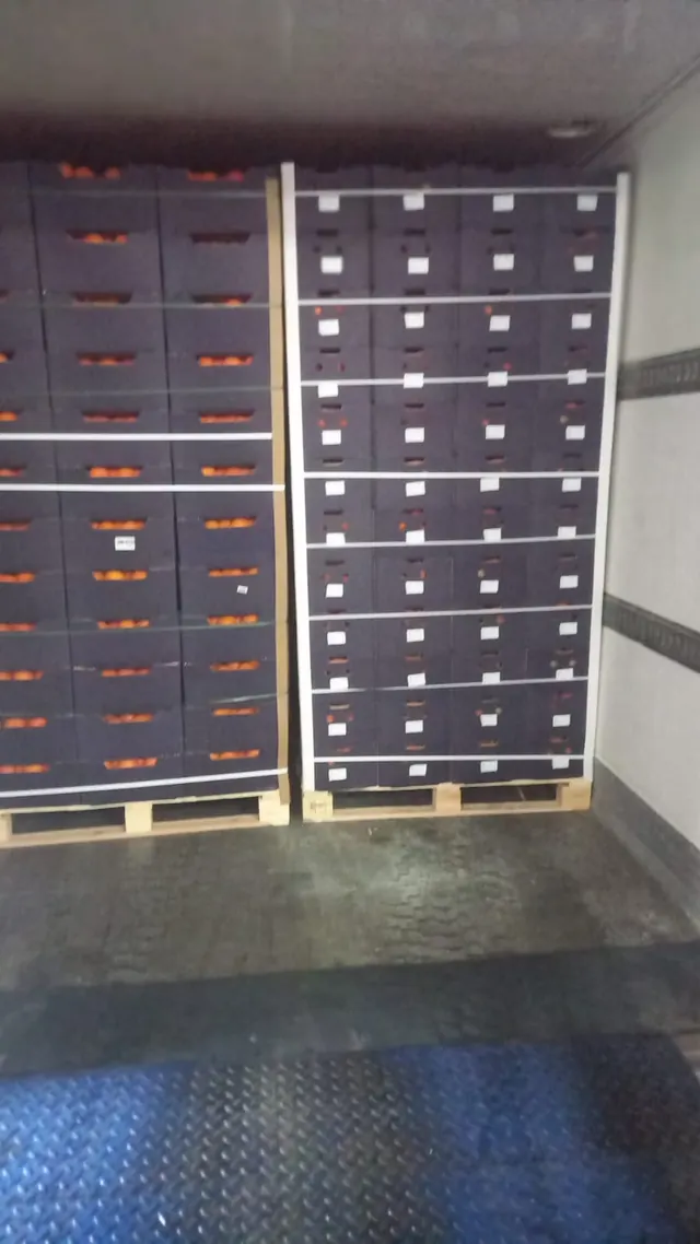 Palletised mandarin cartons in a refrigerated cold room