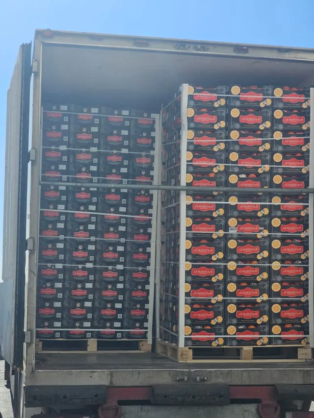 Pallets of mandarin cartons loaded into a refrigerated reefer truck
