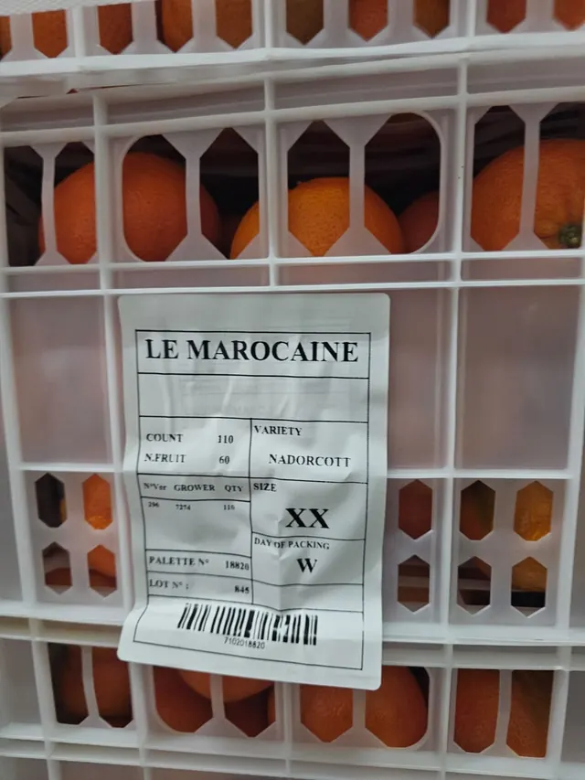 Crate of mandarins with a Le Marocain pallet label showing variety Nadorcott, size, packing day, pallet and lot number